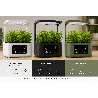 potager smartgarden